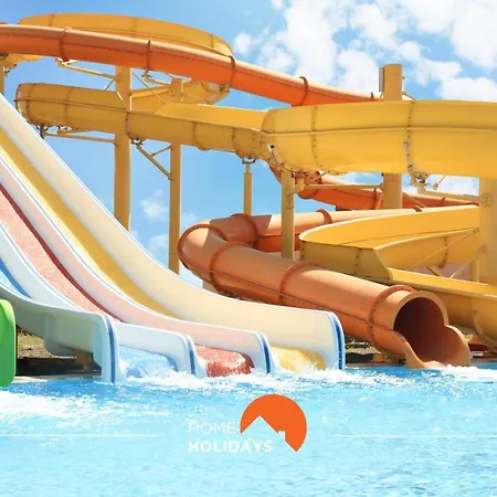 #005 Foxy B By Holidays